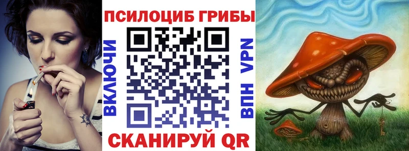 hydra   это наркотические препараты  Псилоцибиновые грибы Cubensis  Шуя 